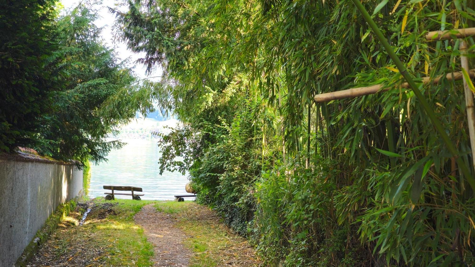 Seepanorama Ohningen Luaran gambar
